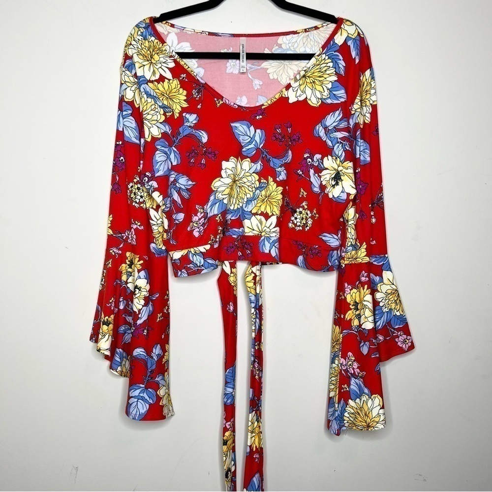 COLOR THREAD Red Floral Tie Front Crop Top
